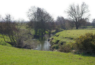 River Cowlydyke Farm